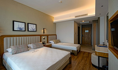 Standart Kara Manzaralı